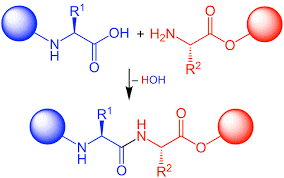 Peptides Therapy Chemistry
