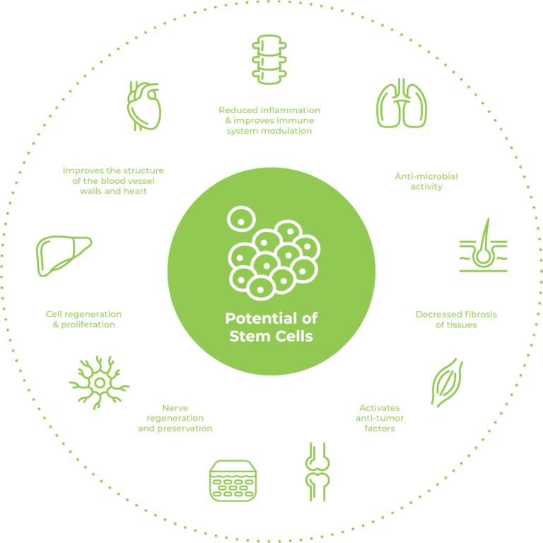 Stem Cell Therapy Treatments at DNA Health Clinics Dubai, UAE