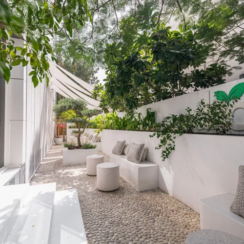 DNA-Health-Wellness-Longevity-Garden-AlWasl-branch-scaled.webp